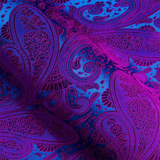 New Purple Blue Paisley Long Sleeve Shirt