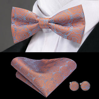 Classic Pink Blue Paisley Brace Clip-on Men's Suspenders with Bow Tie Set