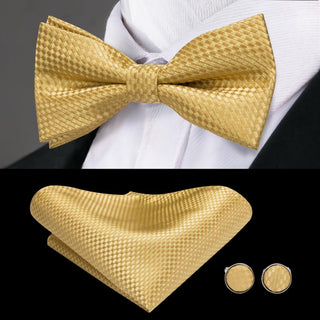 Luxury Golden Brace Clip-on Men's Suspender with Bow Tie Set